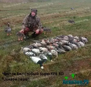 Охота на гуся осень 2017