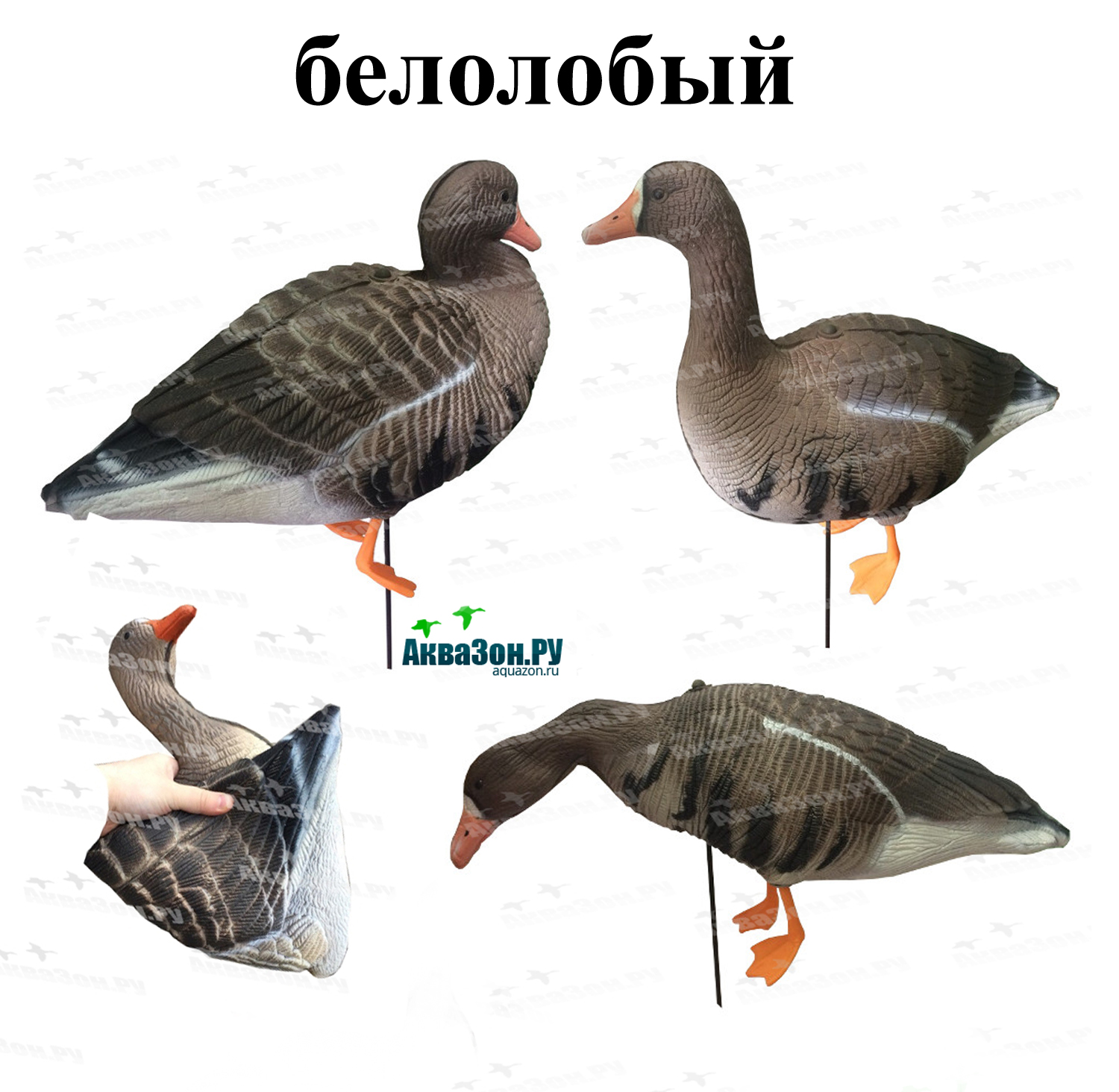 7.jpg 7.jpg