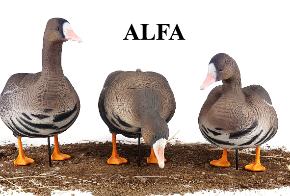 альфа 3 штуки.jpg
