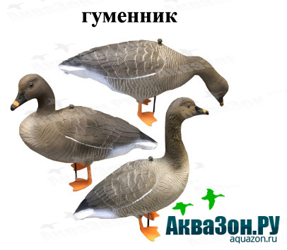 1- копия копия.jpg