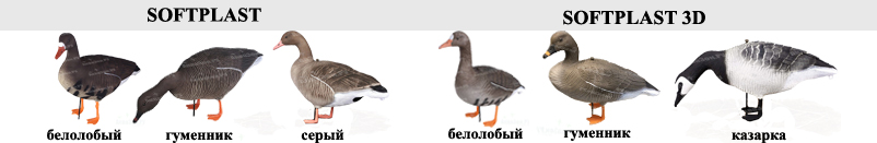 гуси 2.jpg гуси 2.jpg