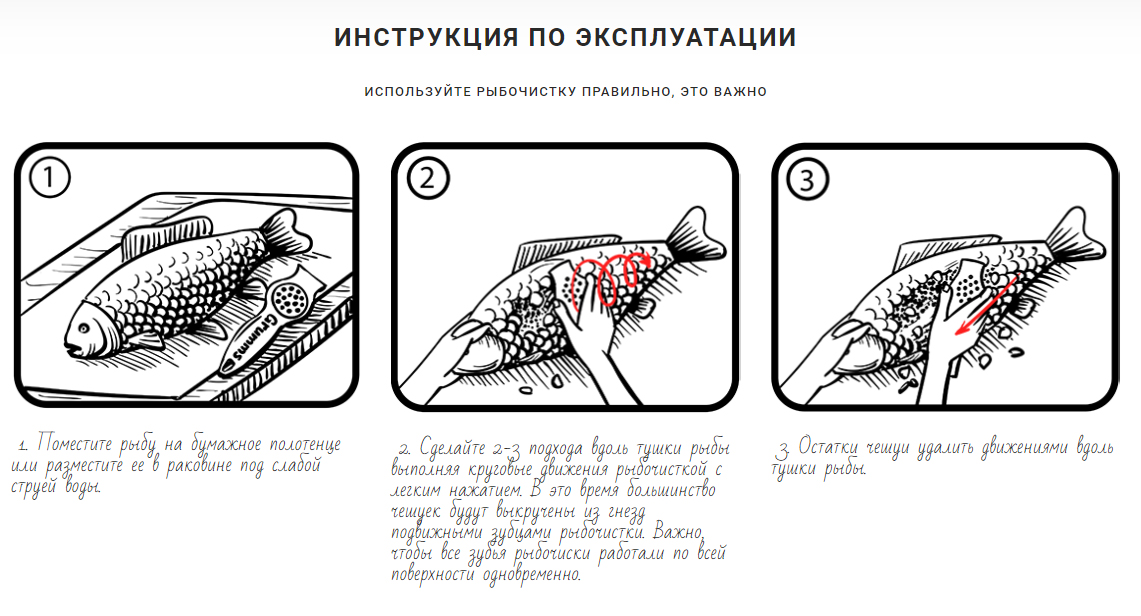 1 (1).jpg 1 (1).jpg