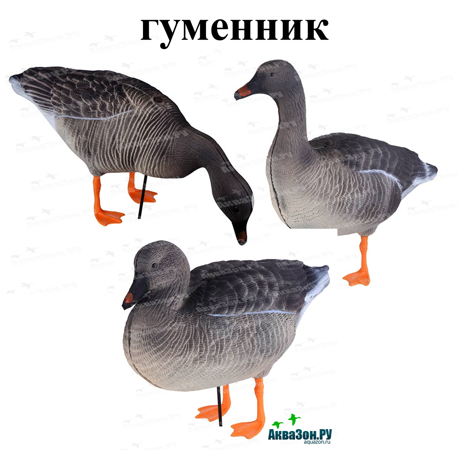 8.JPG 8.JPG