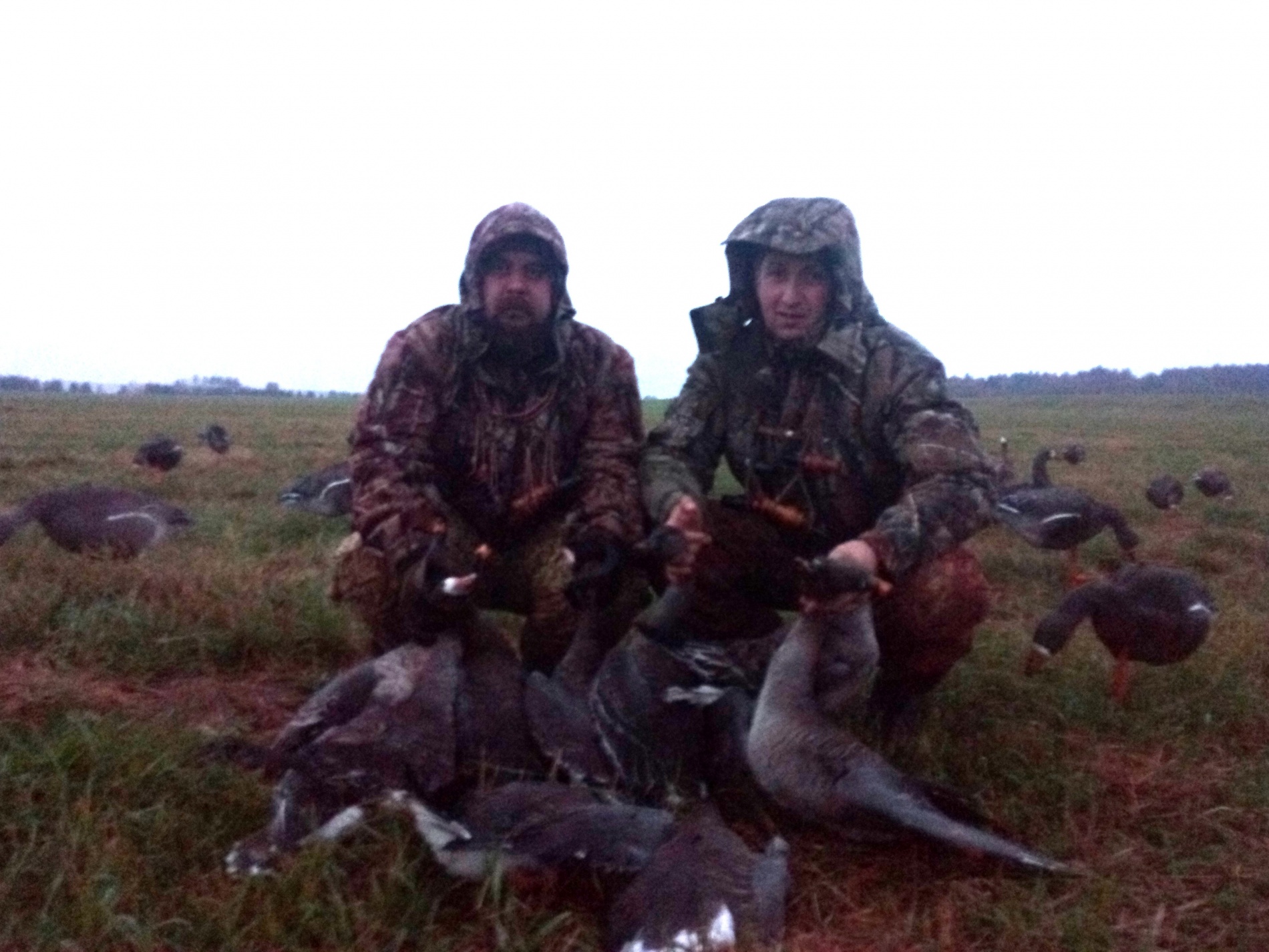 гуси 04.10.jpg гуси 04.10.jpg