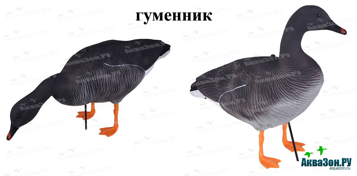  3 копия.jpg