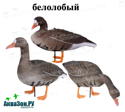 1 копия копия.jpg