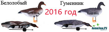 софт-пласт-2016.jpg софт-пласт-2016.jpg