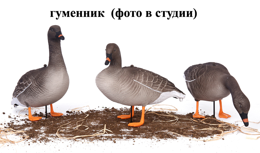 1---.jpg