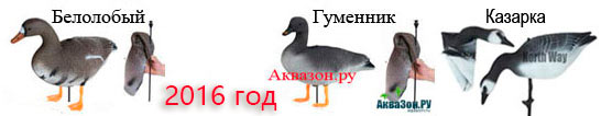 SXPE2016АП.jpg