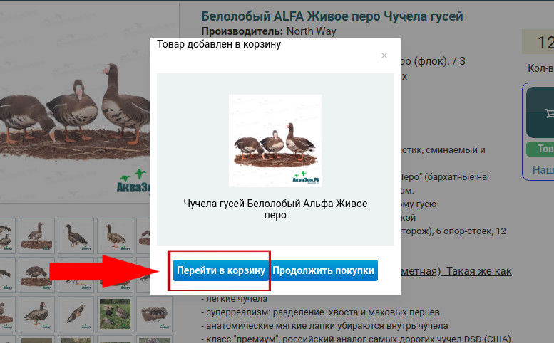 5.jpg 5.jpg