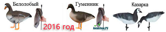 SXPE-2016-ЖП_2016.jpg SXPE-2016-ЖП_2016.jpg