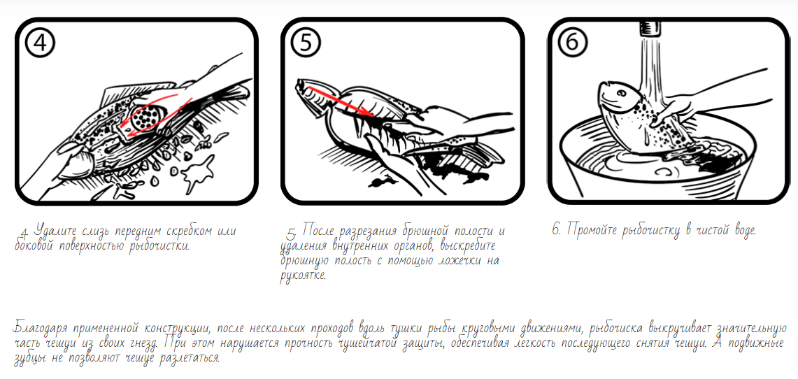 2 (1).jpg 2 (1).jpg