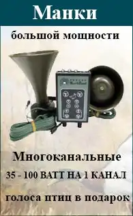 Электронные манки для охоты большой мощности